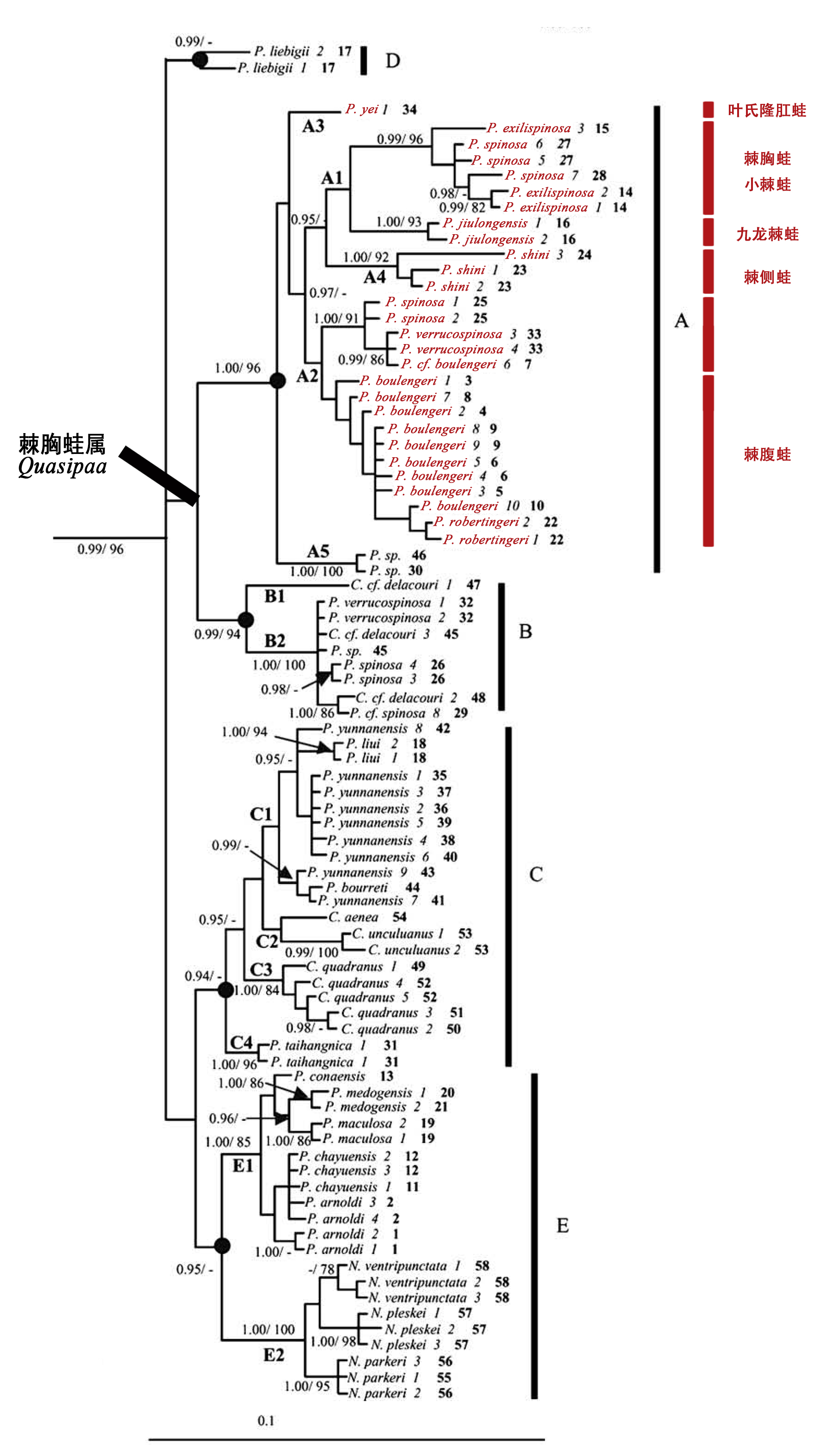 生命之树