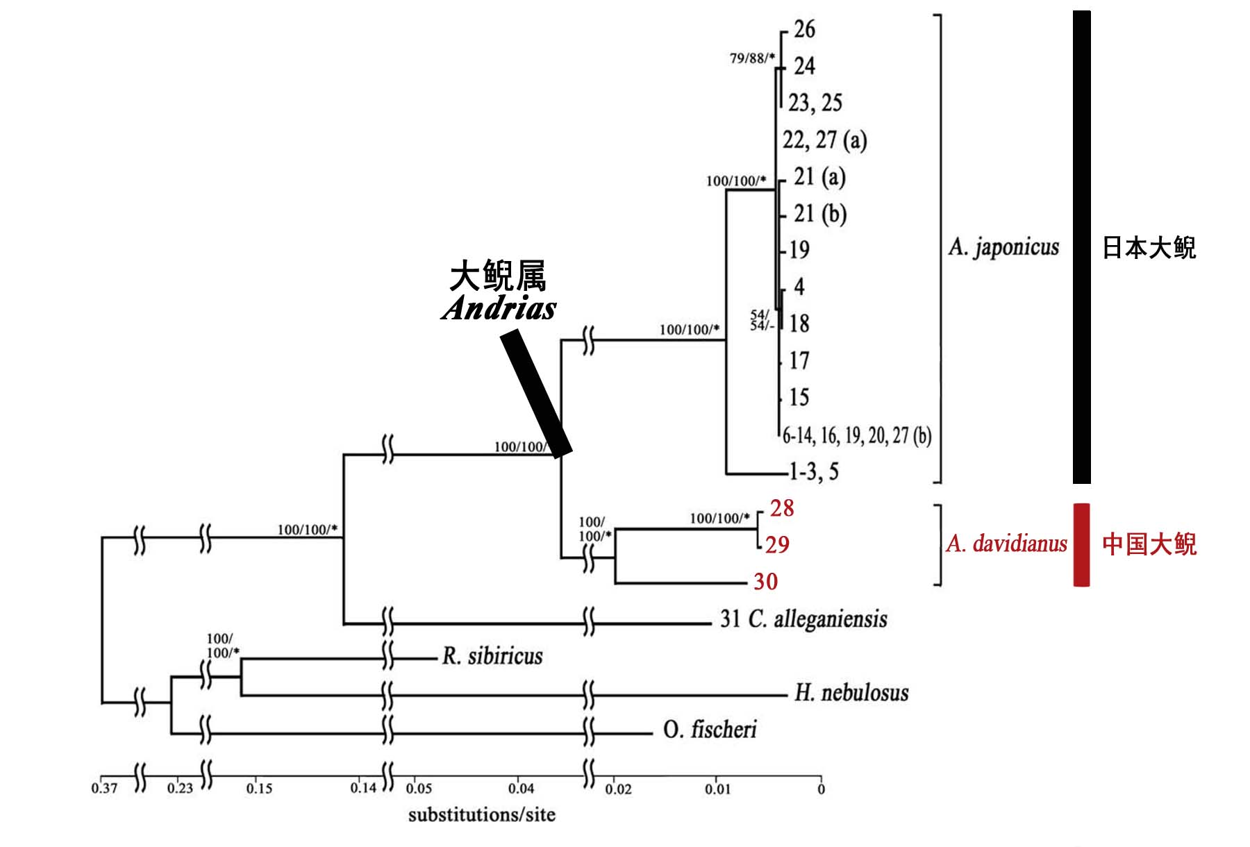 生命之树