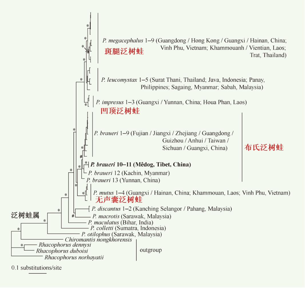 生命之树