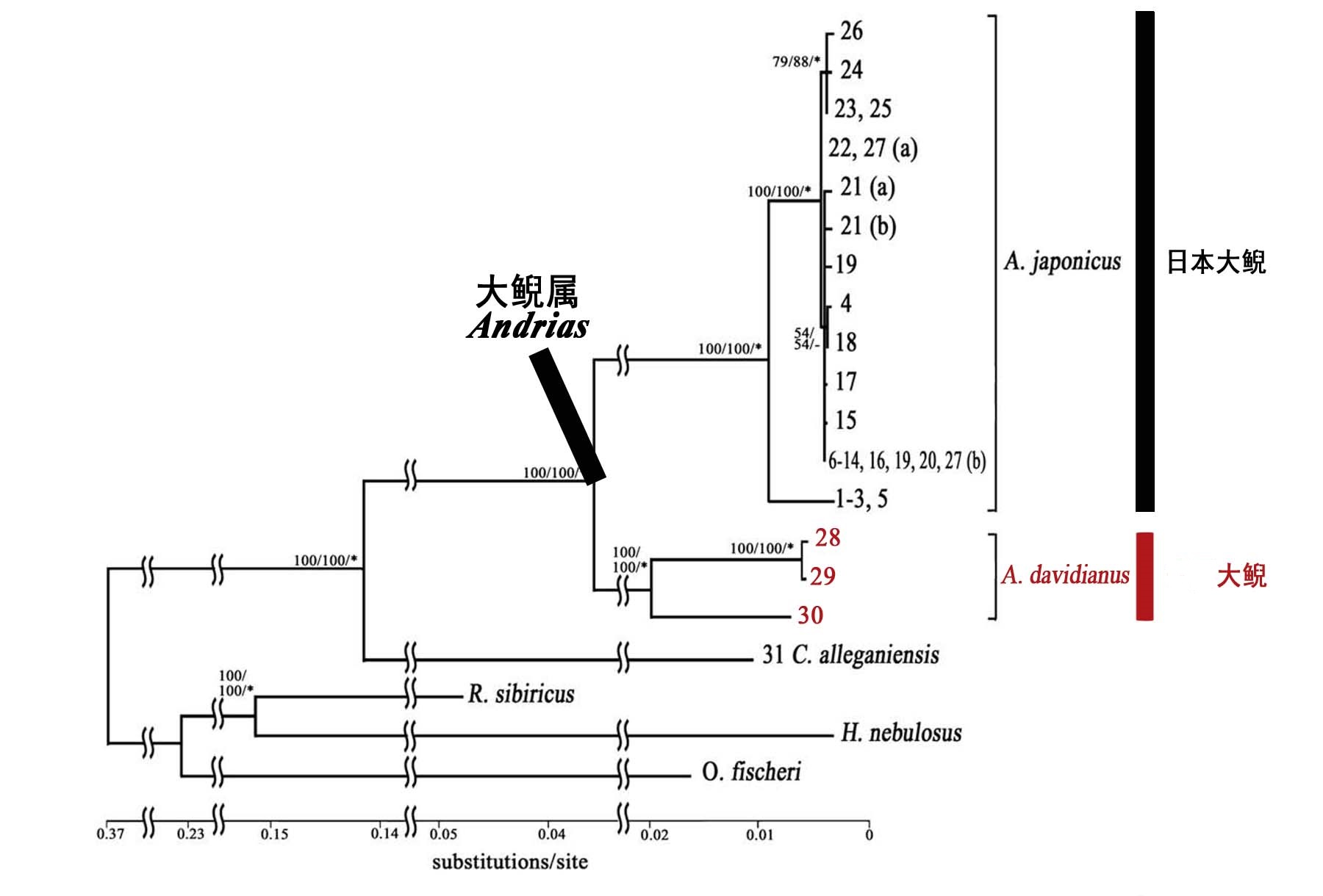 生命之树